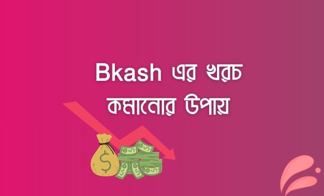 বিকাশের খরচ কমানোর উপায়