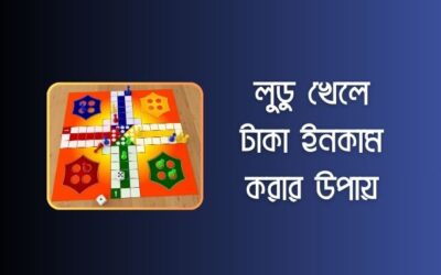 লুডু খেলে টাকা ইনকাম পেমেন্ট নিন বিকাশে