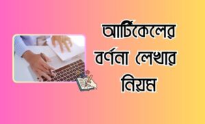 আর্টিকেলের বর্ণনা লেখার নিয়ম