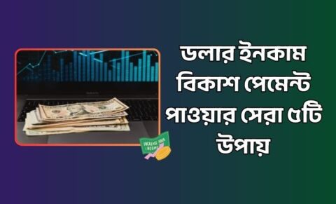 ডলার ইনকাম বিকাশ পেমেন্ট