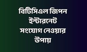জিপন ইন্টারনেট
