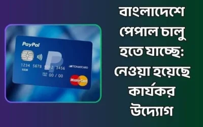 বাংলাদেশে পেপাল চালু হতে যাচ্ছে: নেওয়া হয়েছে কার্যকর উদ্যোগ