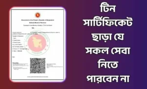 টিন সার্টিফিকেট ছাড়া যে সকল সেবা নিতে পারবেন না